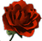 In Memory ...
